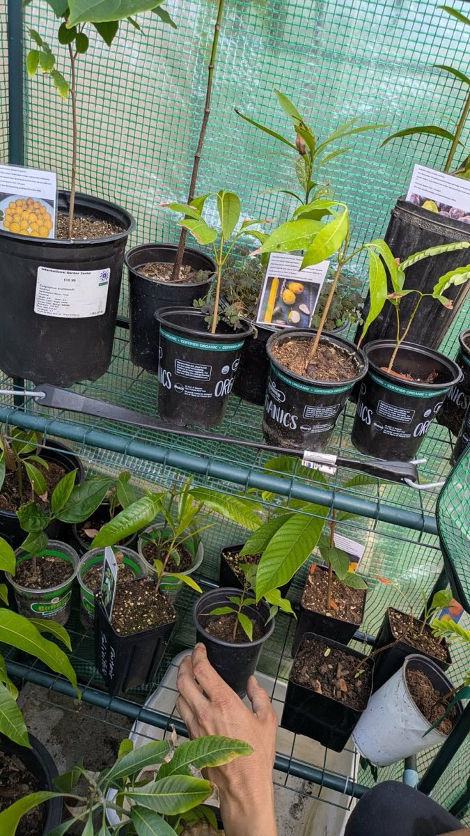 Greenhouse