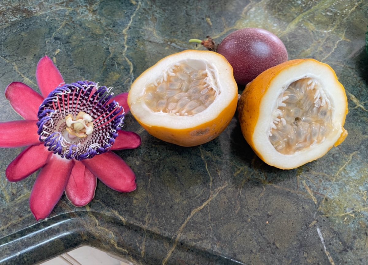 Ruby Glow Flower and Fruit