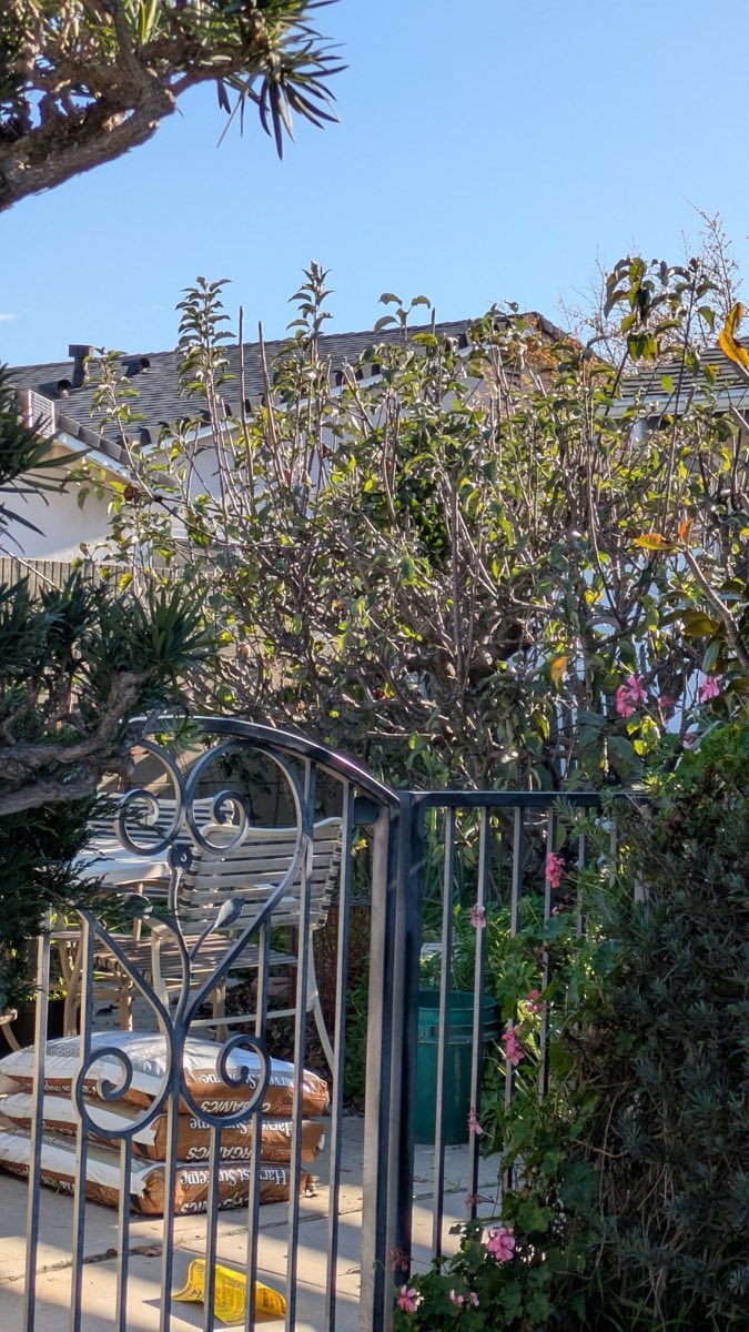 Member Garden