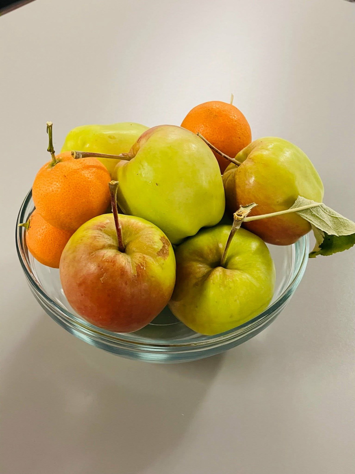 Backyard Harvest