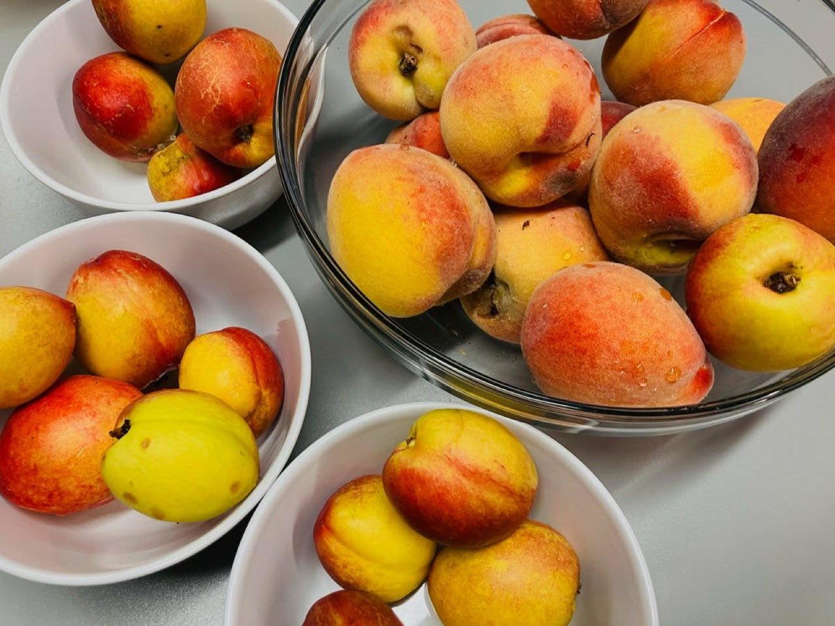 Backyard Peaches