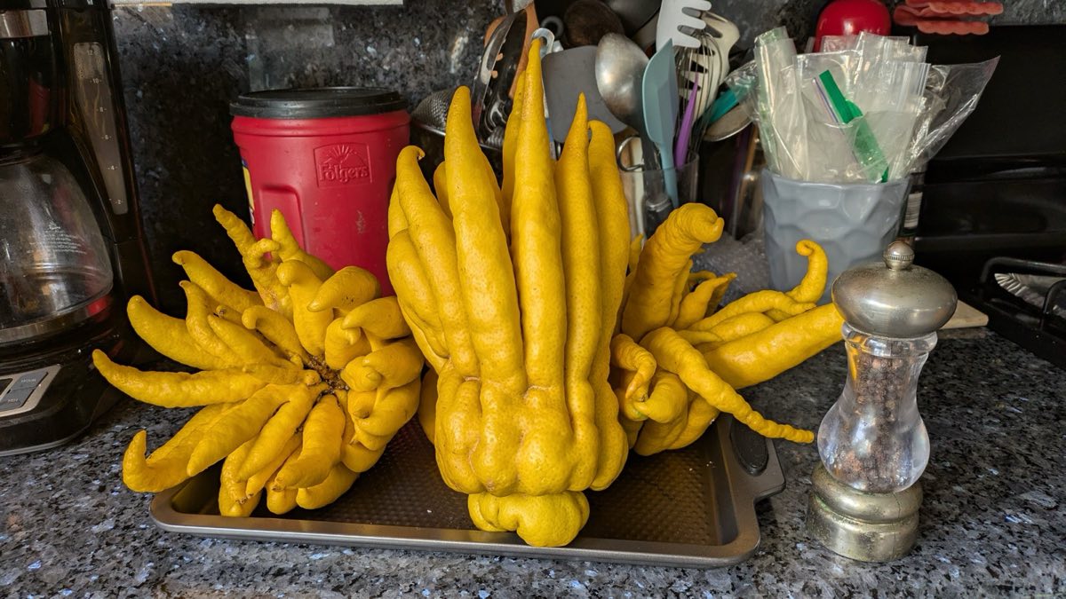 Buddha's Hands