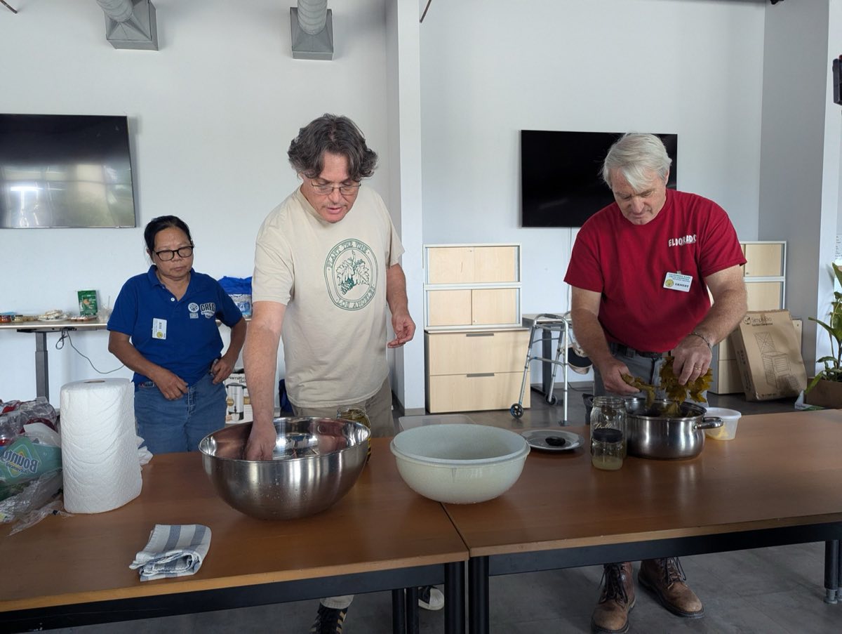 Dolma making demonstration