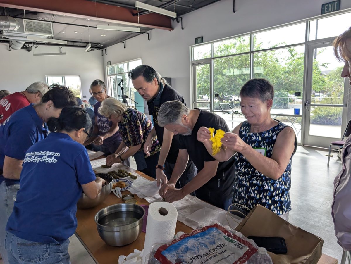 Chapter learning to make dolma