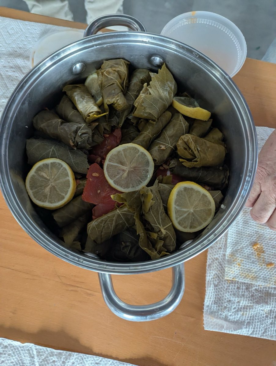 Dolma ready to cook