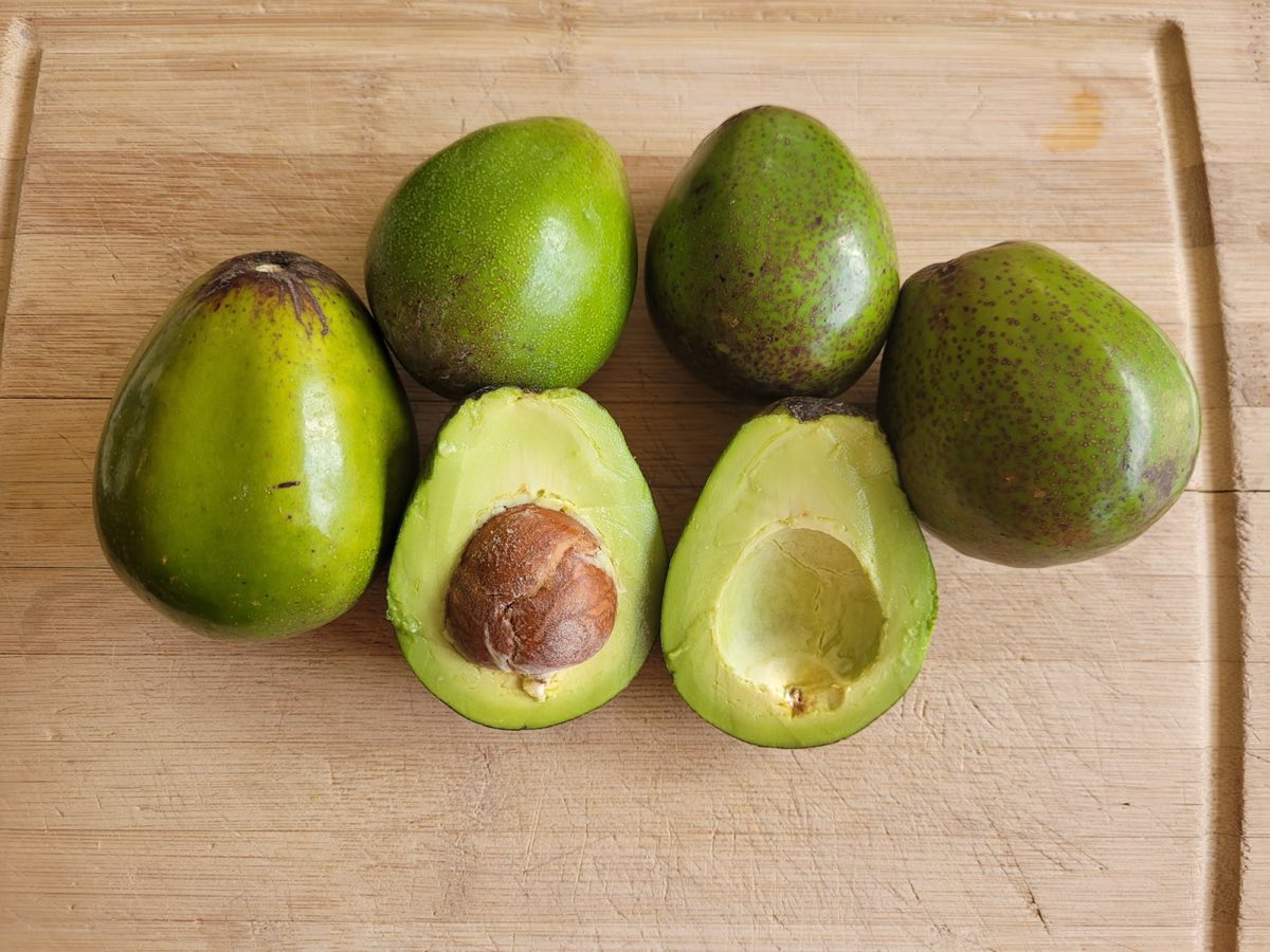 PV-grown Mexicola Avocados
