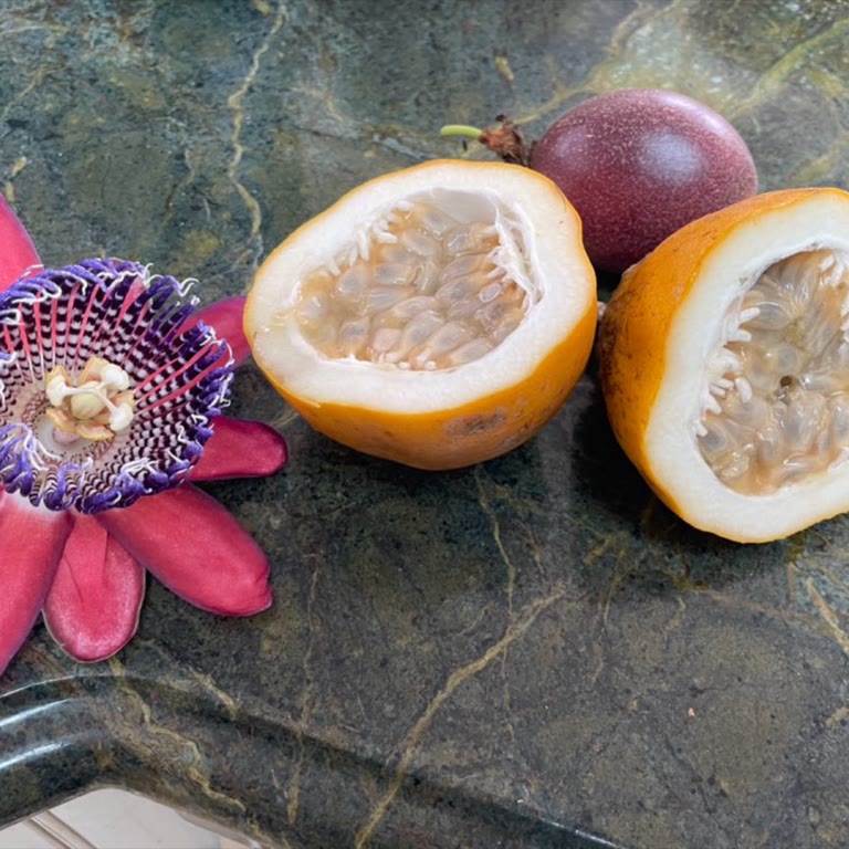 Ruby Glow Flower and Fruit